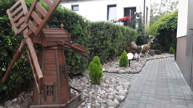 Przedogródek wyłożony kostką i polnymi kamieniami, z lewej strony żywopłot- wiąz Turkiestanu