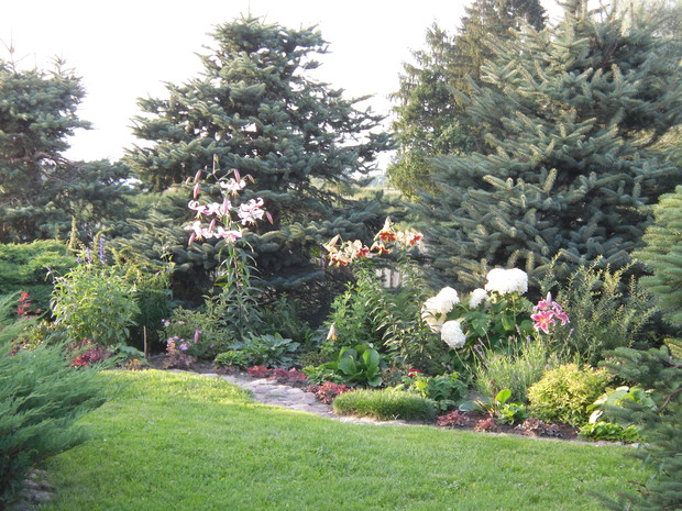 Rabata w półcieniu