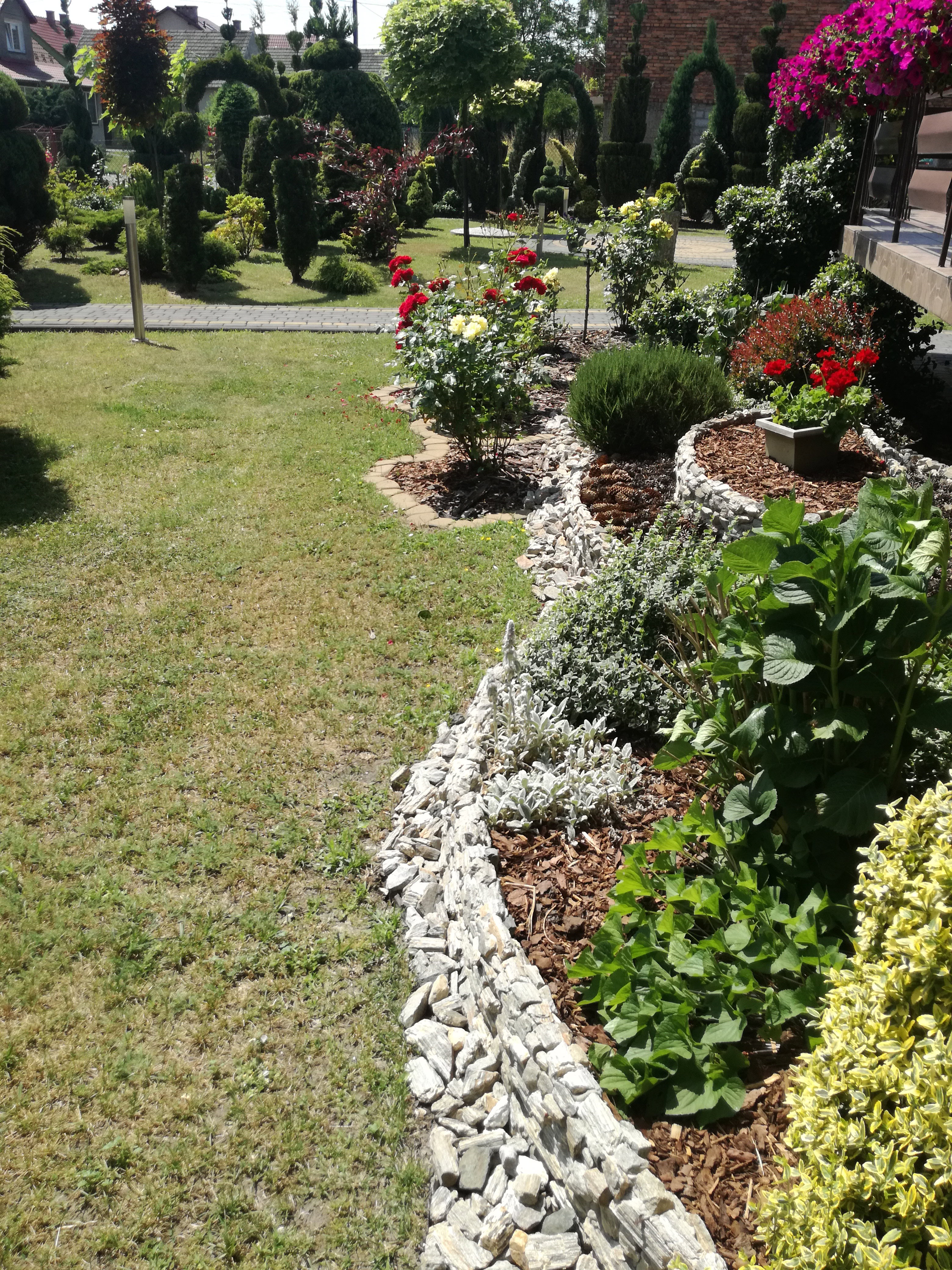 Rabata z różami i hortensjami