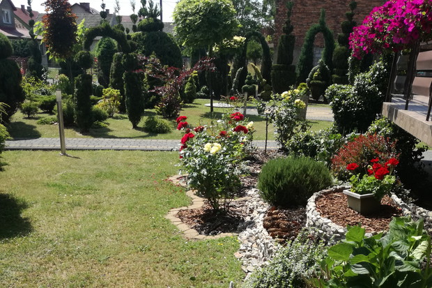 Rabata z różami i hortensjami