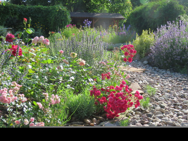 Rabata z różami, lawendą i hyzopem