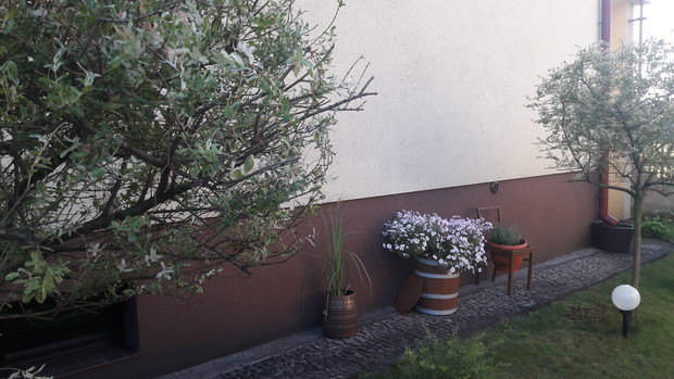 Recyklingowe kwietniki