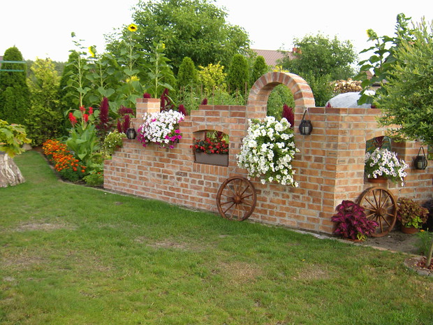 Słoneczniki biją rekordy wysokości