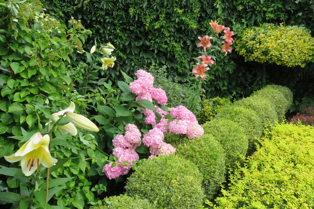 Uroczy zakątek – hortensja i pachnące lilie. 