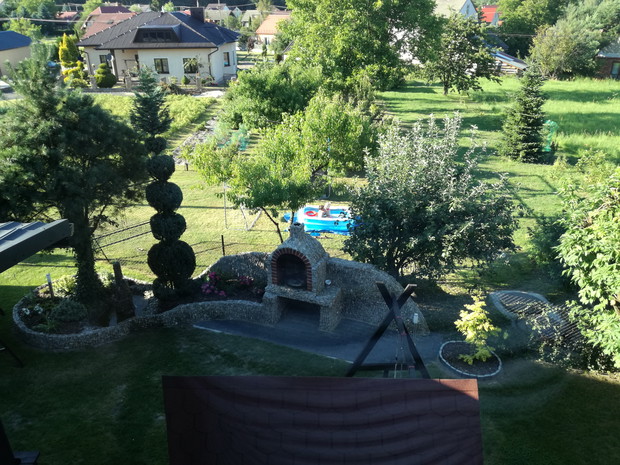 Widok na raj mojego męża, w którym znajdują się drzewa i krzewy owocowe