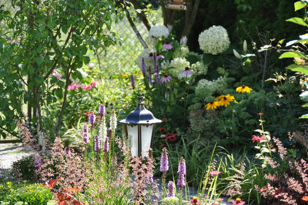 Wśród kwiatów na drzewie domek dla ptaszków.