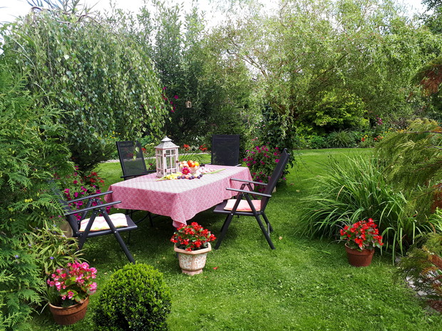 Zaciszne miejsce na chwilę odpoczynku i wypicie ulubionej kawy wśród kwiatów i krzewów.