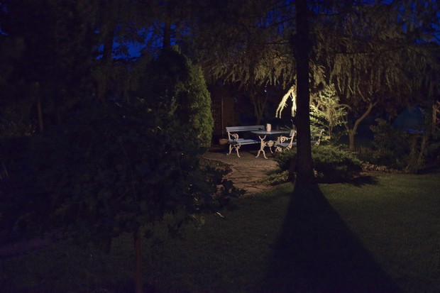 A w nocy? Mój mały, maleńki, czy ty o tym wiesz, że nocą, północą chodzi złoty jeż.