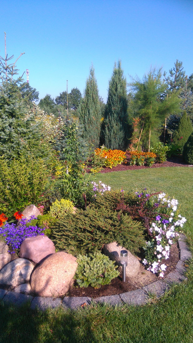 Część zachodnia ogrodu