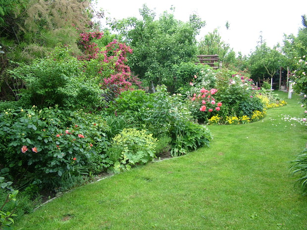 dalsza część tej rabaty za studnią