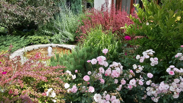 Fontanna przed oknem jadalni