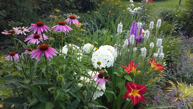 Fragment letniej rabaty