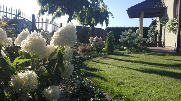 Frontowa strona ogrodu .