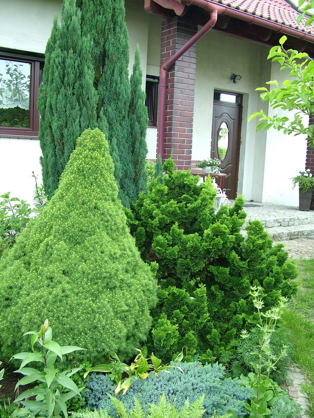 i lewa część przodu