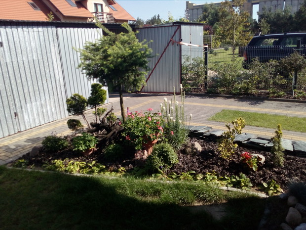 Jako nietypowy prezent na dzień matki powstała narożna rabatka.