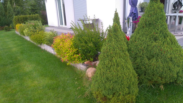 Jedna z część podwyższonej rabaty