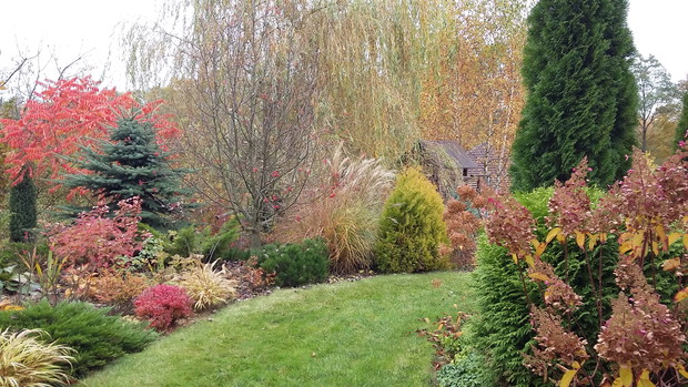 Jesień w naszym ogrodzie to przepiękne barwne widowisko