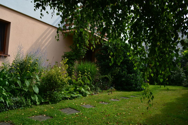 jest też piękne brzoza