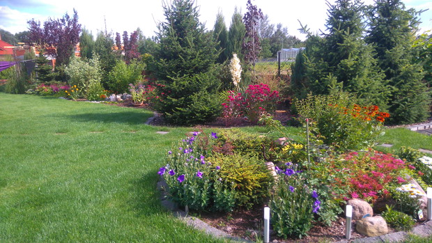 Juka karolińska góruje nad kępą pysznogłowek