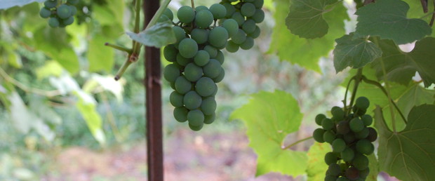 Już za chwileczkę, już za momencik...