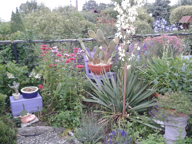 Kącik śródziemnomorski