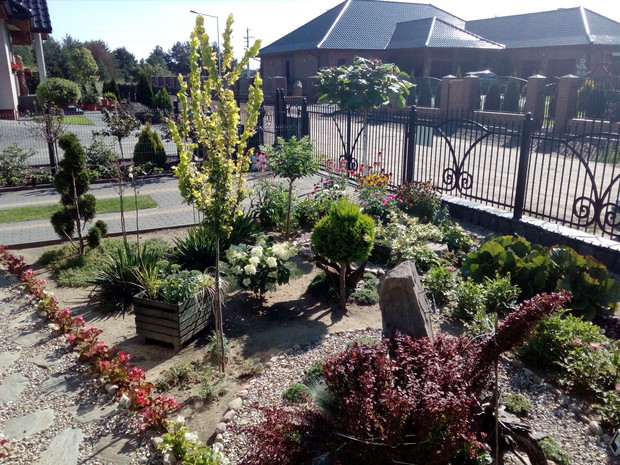 Kamienia z nazwą ulicy pilnuje najmłodsze "zwierzę" - dopiero obrastający w piórka łabędź.