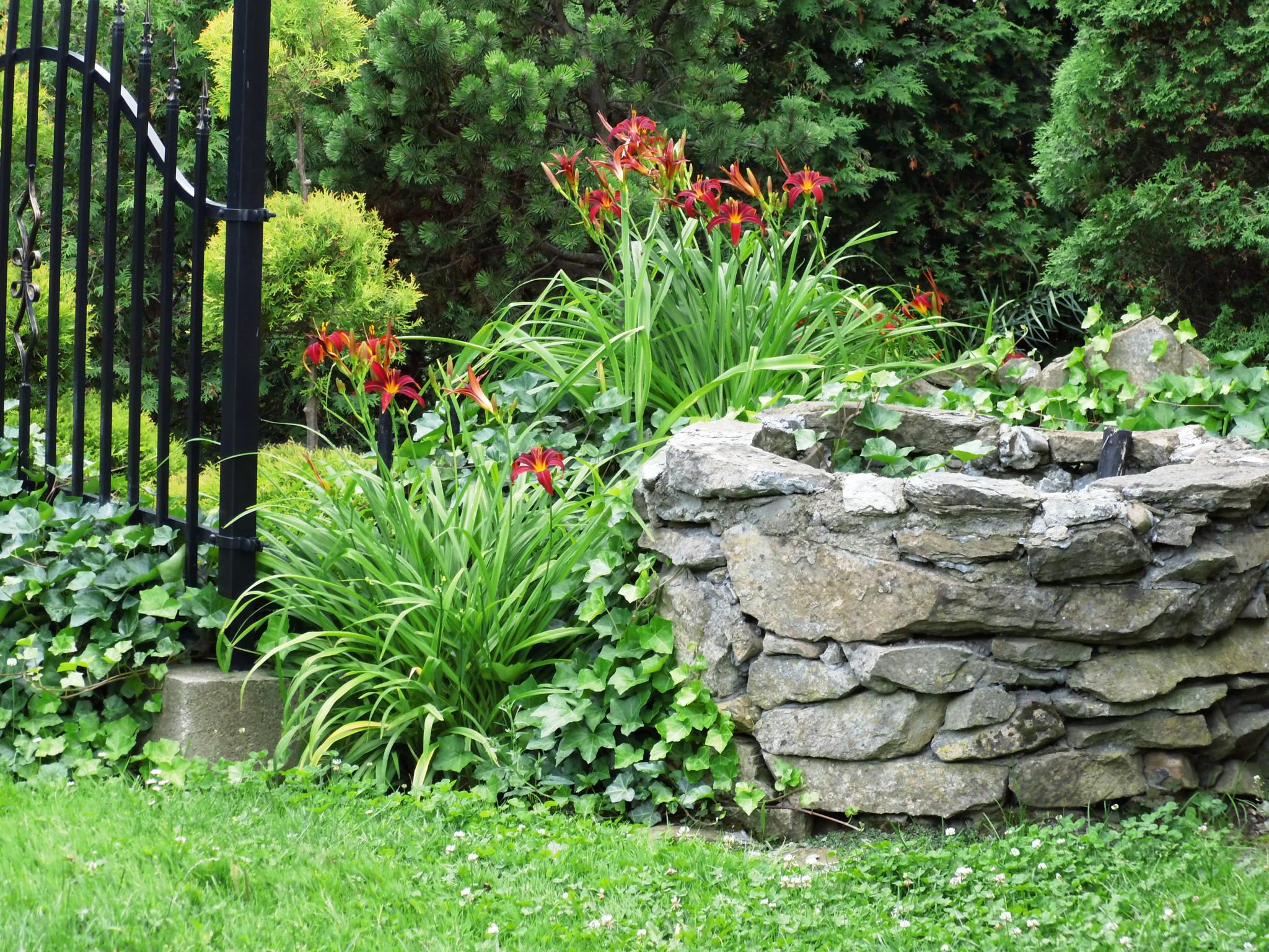 Kamienna studnia wkomponowane w nią lilie.