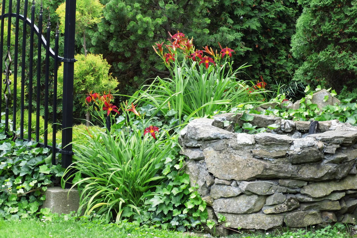 Kamienna studnia wkomponowane w nią lilie.