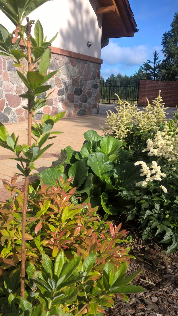 Kiścień i tawułki.