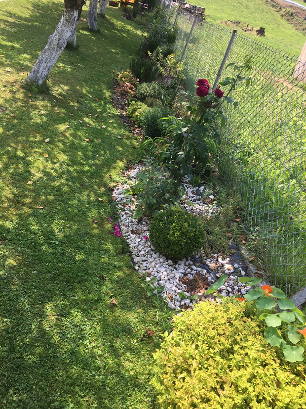 Kolejna rabata z kamyczkami....