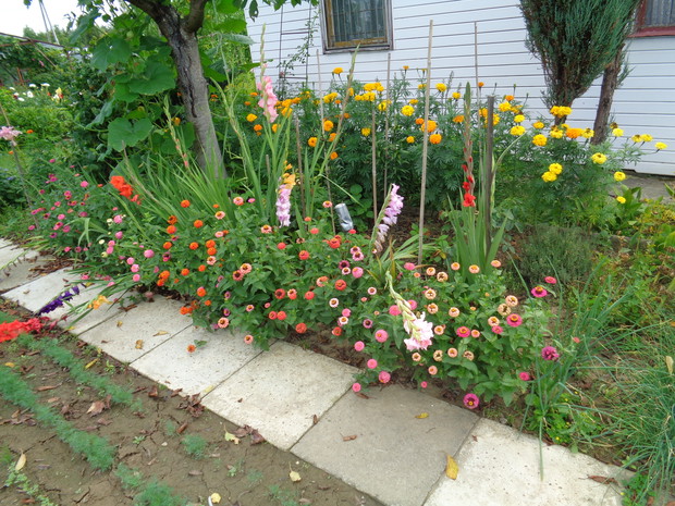 Kwiaty też dorodne.