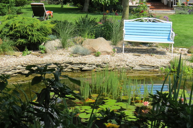 Ławeczka nad stawem to miejsce obserwowania okoliczności przyrody. Żaby wygrzewające się na liściu nenufaru, ważki latające jak caracale i ptaki pluskające się na płyciźnie.