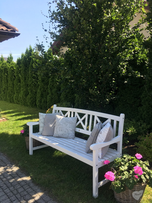 ławka w cieniu kolumnowych bukow