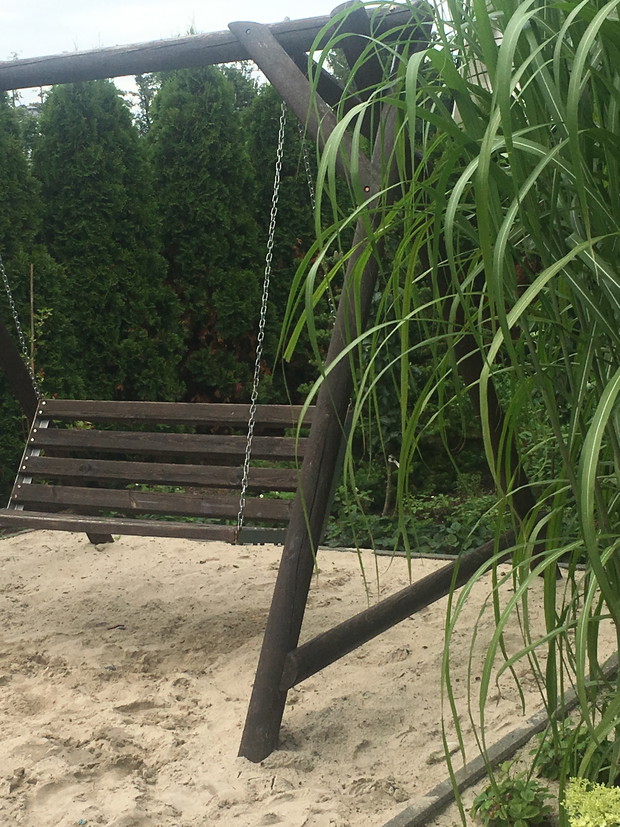 ławka w piaskownicy w cieniu miskanta olbrzymiego