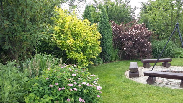 Miejsce na ognisko w otoczeniu bujnej roślinności