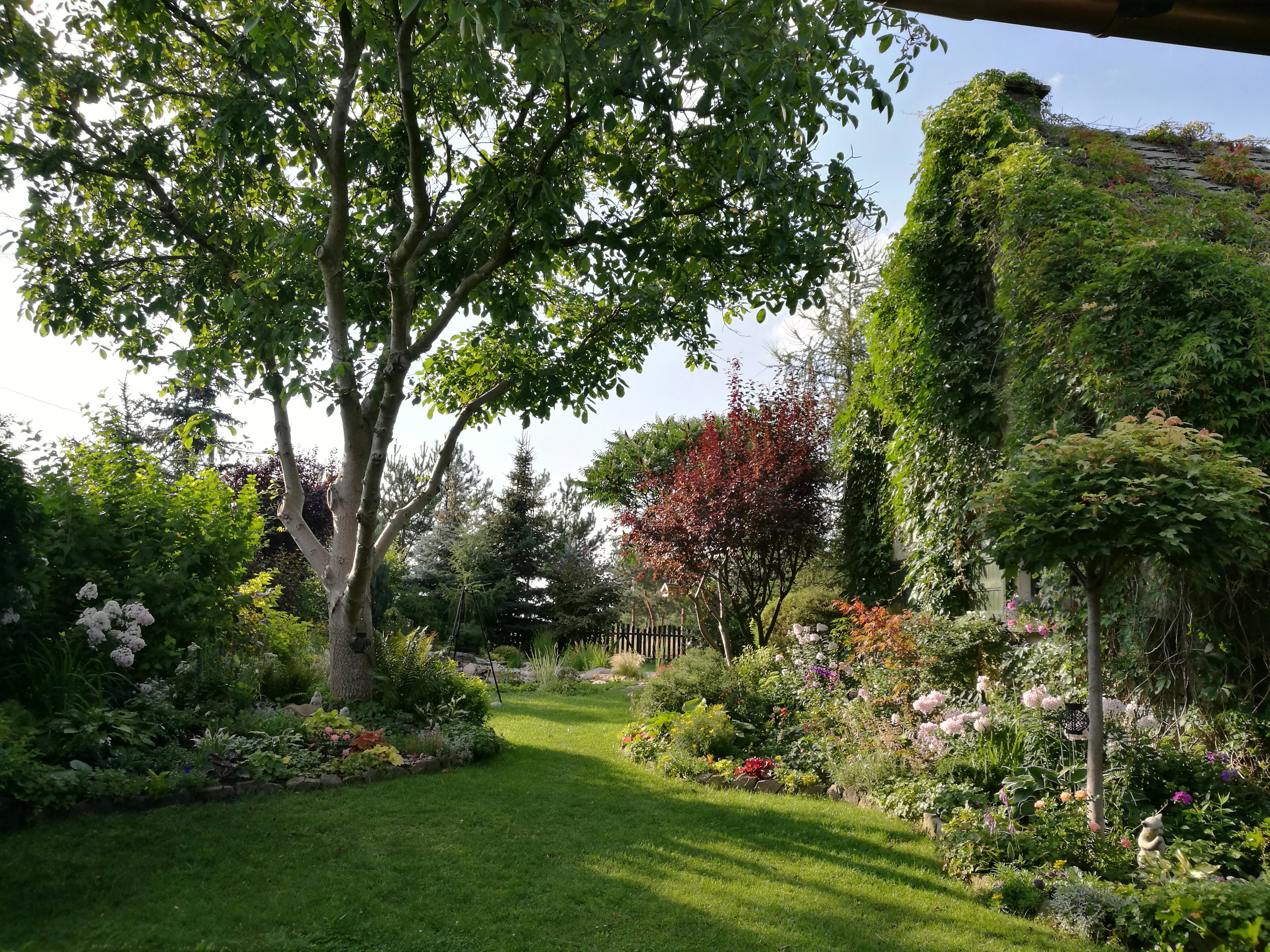 Mój mały raj - widok z okna kuchni