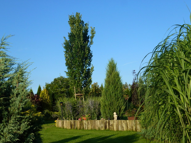 Murek z podkładów kolejowych oddzielający dwa poziomy ogrodu.