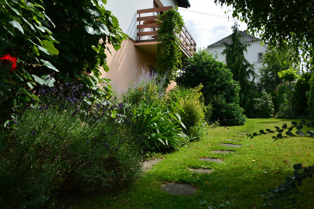 na balkon można wejść po pnączu...