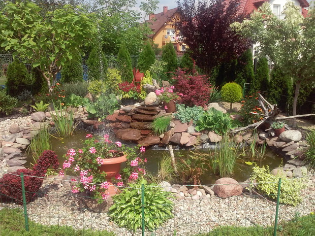 Największa duma i źródło satysfakcji w naszym ogrodzie - samodzielnie z mama wykopałyśmy dół w glinie, gdyż zawsze marzyłyśmy o oczku z kaskadą. Wody strzega strzyżony łabędź z berberysu oraz kaczka i ślimak z trzmieliny