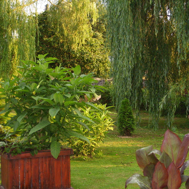 O zachodzie słońca