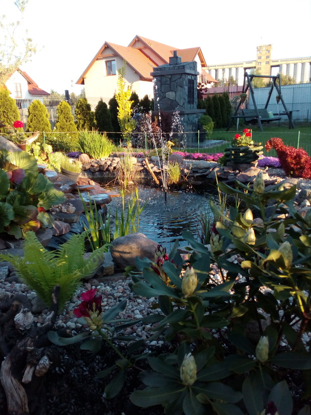 Oczko swoją aktywność zaczyna wiosną, kiedy woda jest cieplejsza, dookoła wszystko budzi sie do życia wraz z rybkami i żabami, których z roku na rok przybywa...