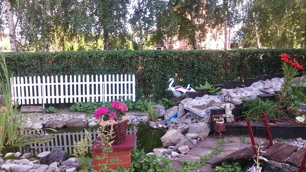 OCZKO WODNE Z WODOSPADEM