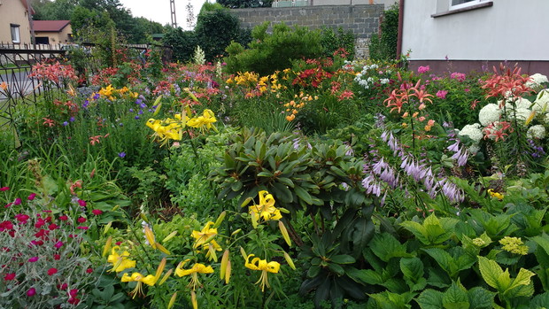 Ogród kwiatowy który zmienia się od wiosny do jesieni