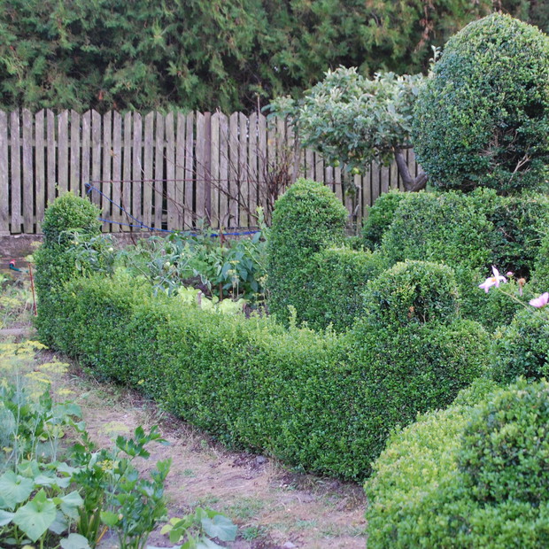 Prawie jak w Wilanowie