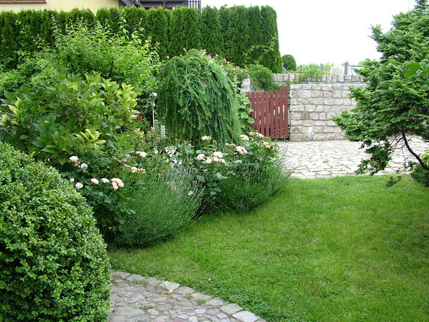 przód tzw przed ogródek, a właściwie jego prawa strona