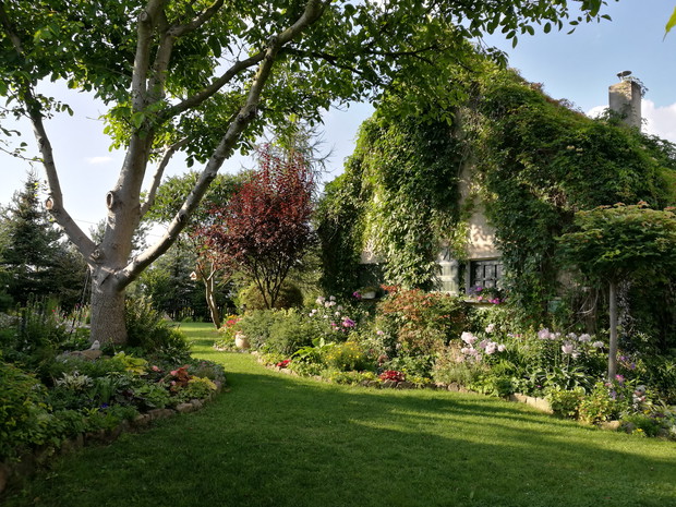 Przy orzechu - budynek gospodarczy otulony winobluszczem