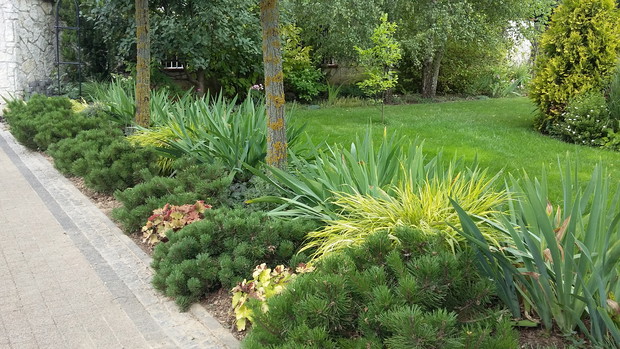 Rabata przy ścieżce prowadzącej od domu do furtki