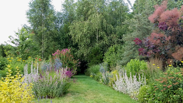 Rabaty bylinowe w lipcu