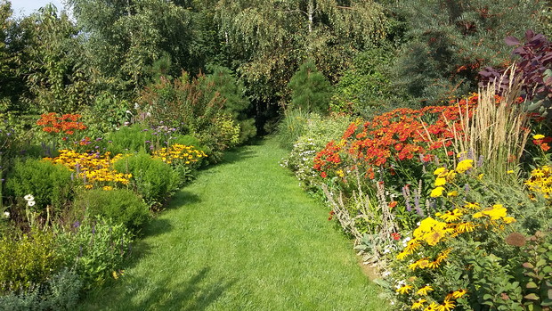 Rabaty bylinowe w ognistych kolorach późnego lata