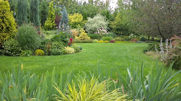 Rabaty we frontowej części ogrodu 